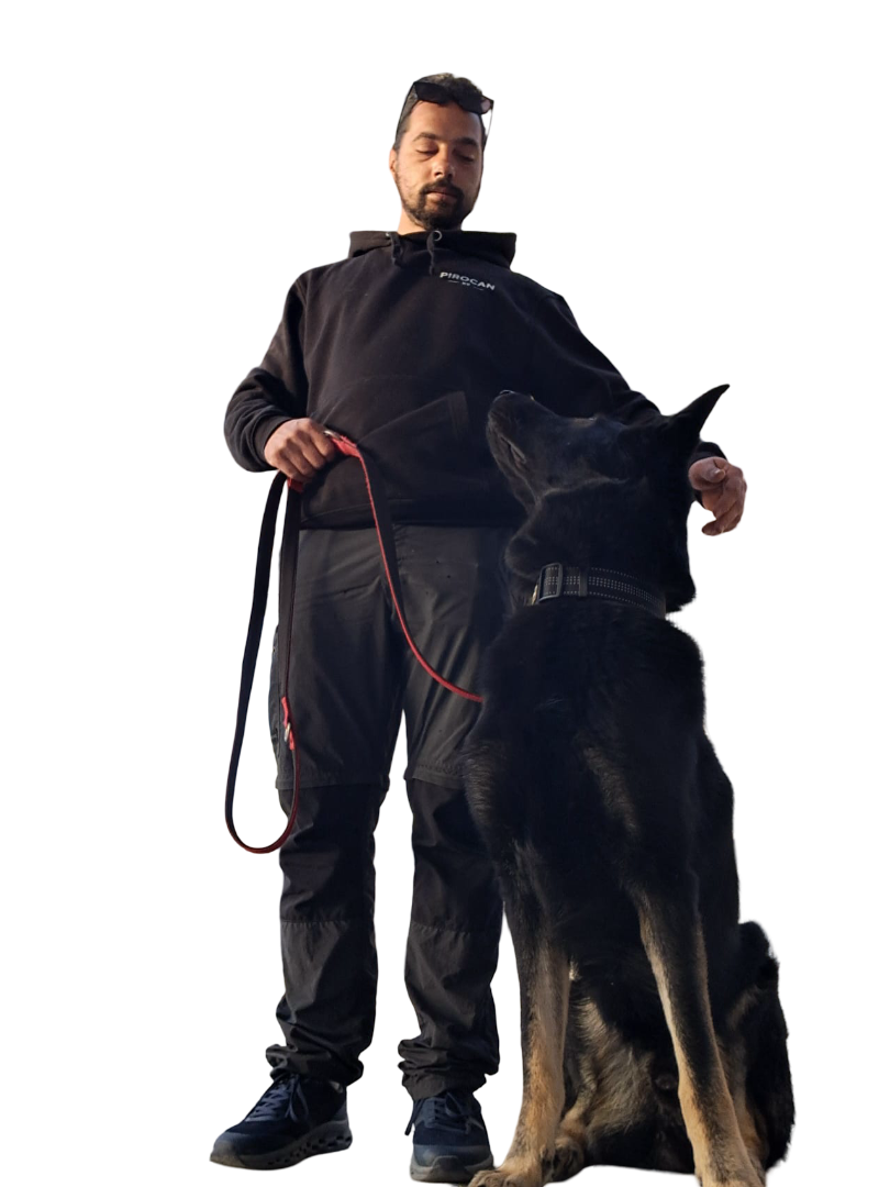 Pedro, educador canino de PiroCan, trabajando con un perro